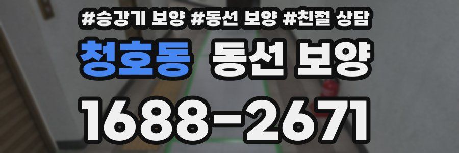 청호동 동선 보양
