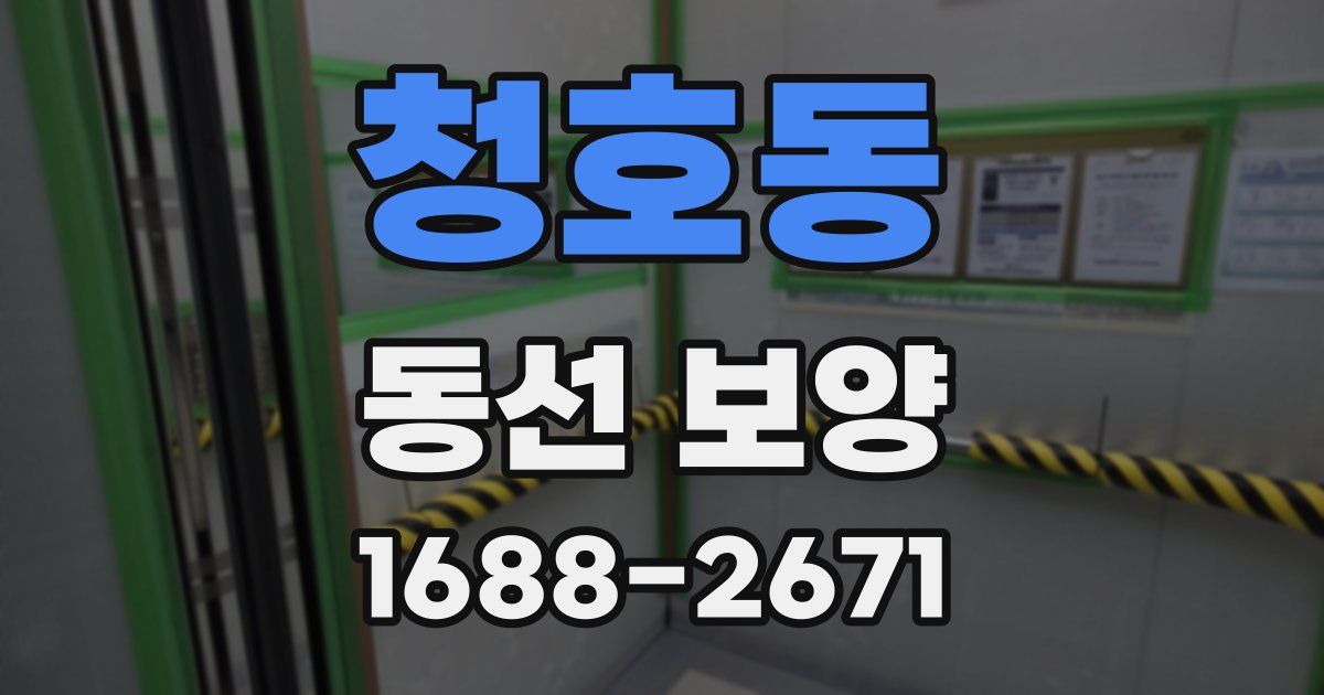 청호동 동선 보양
