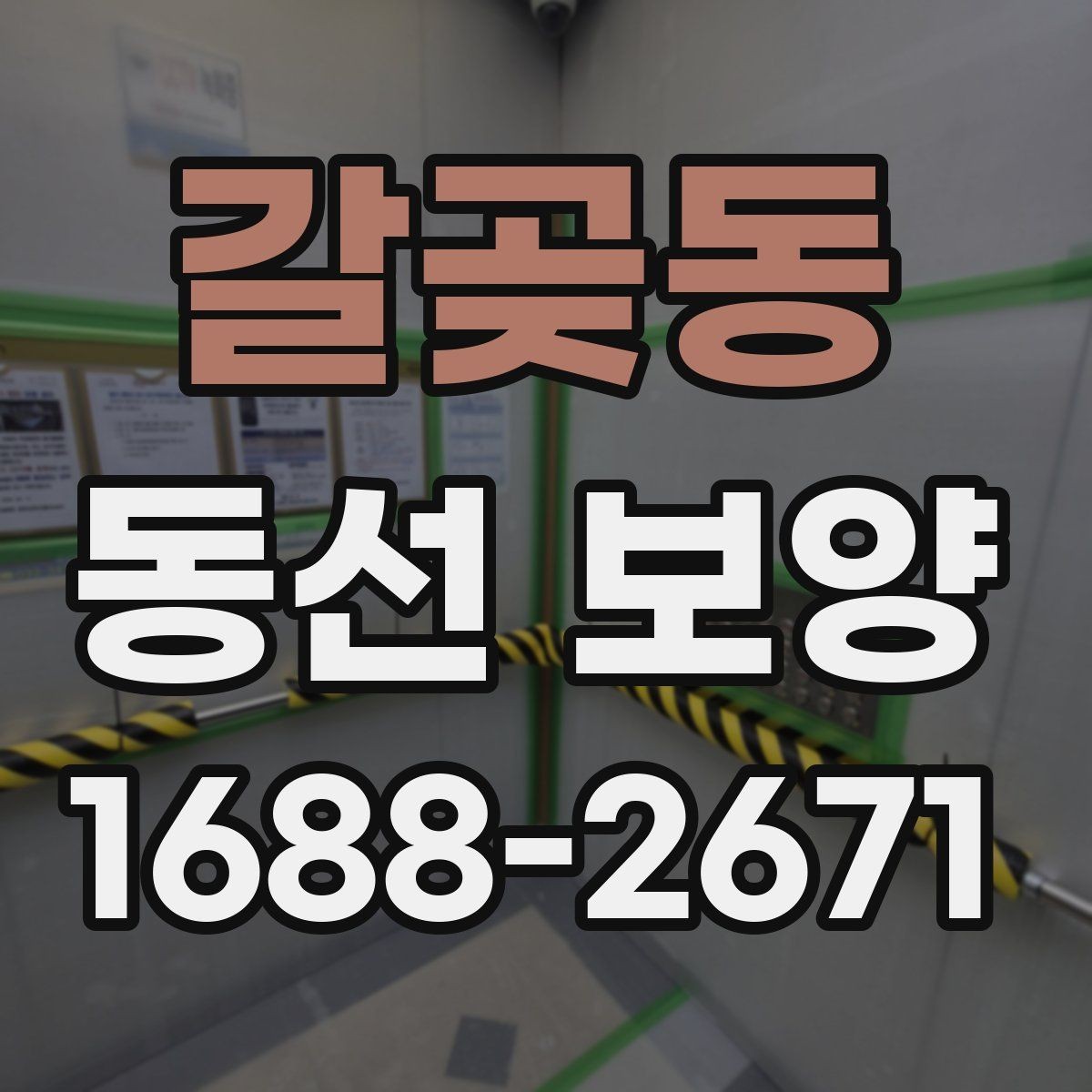 갈곶동 동선 보양 과정에서 발생할 수 있는 문제
