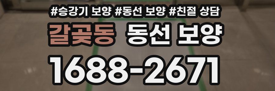갈곶동 동선 보양