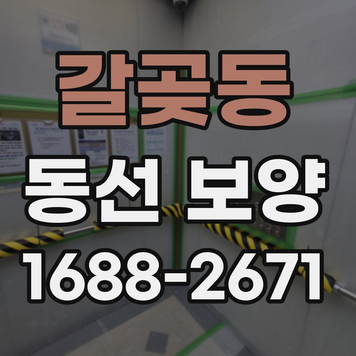 갈곶동 동선 보양