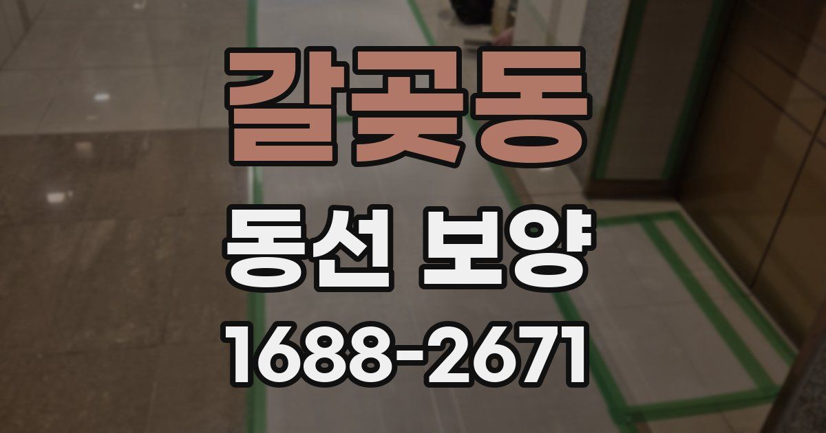 갈곶동 동선 보양