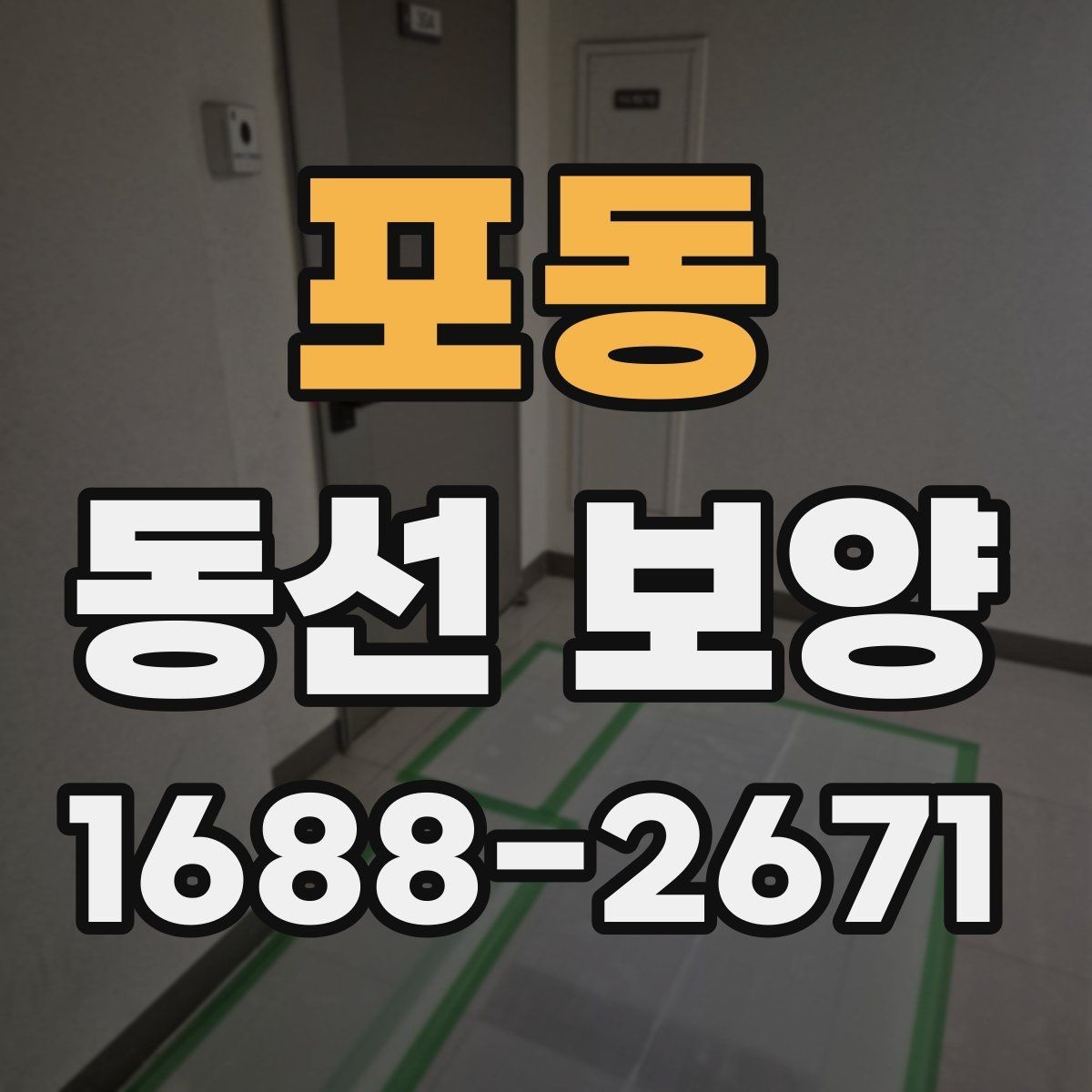 포동 동선 보양 작업 전 꼭 확인할 점