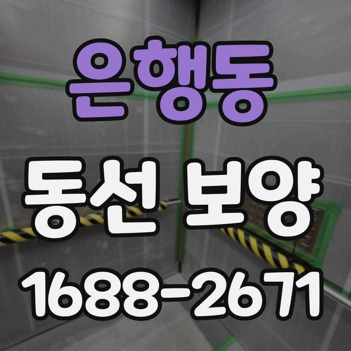 은행동 동선 보양