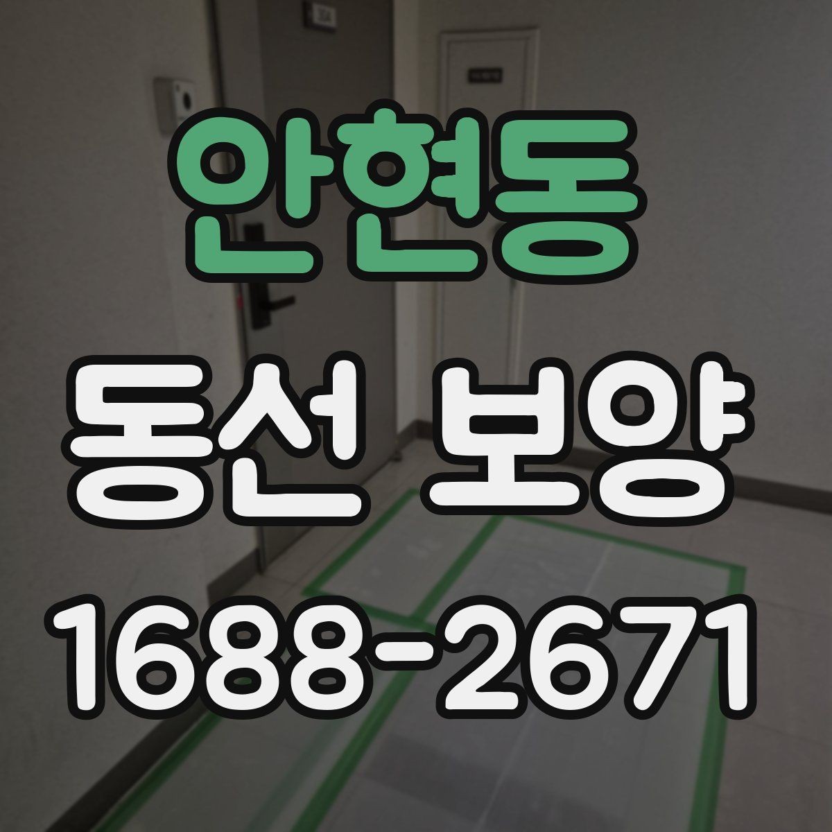 안현동 동선 보양 시공 전후 관리 방법