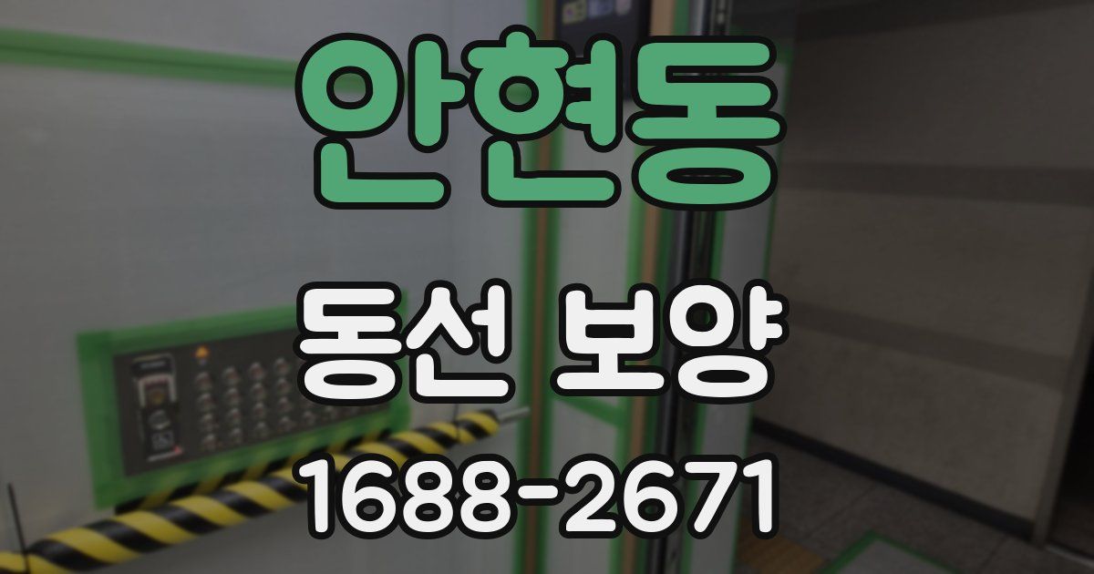 안현동 동선 보양