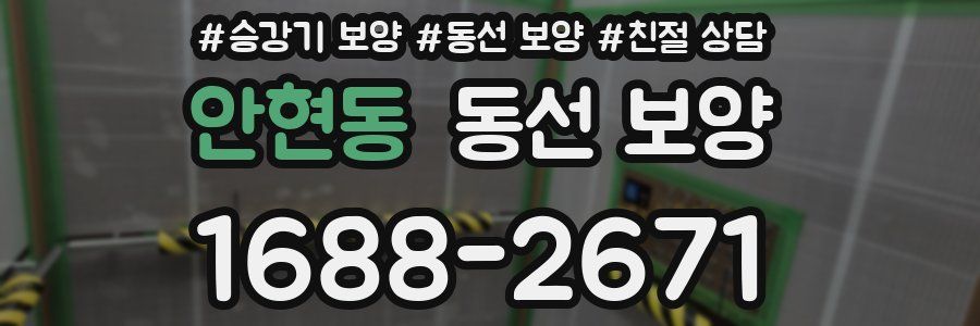 안현동 동선 보양