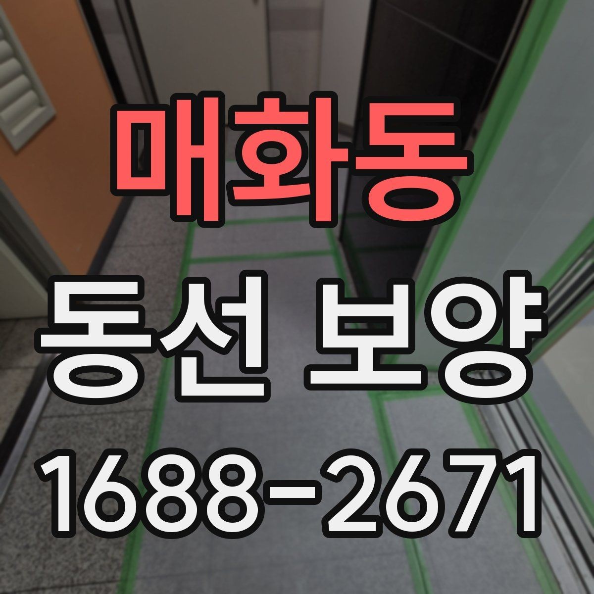 매화동 동선 보양 견적서에서 확인할 핵심 항목