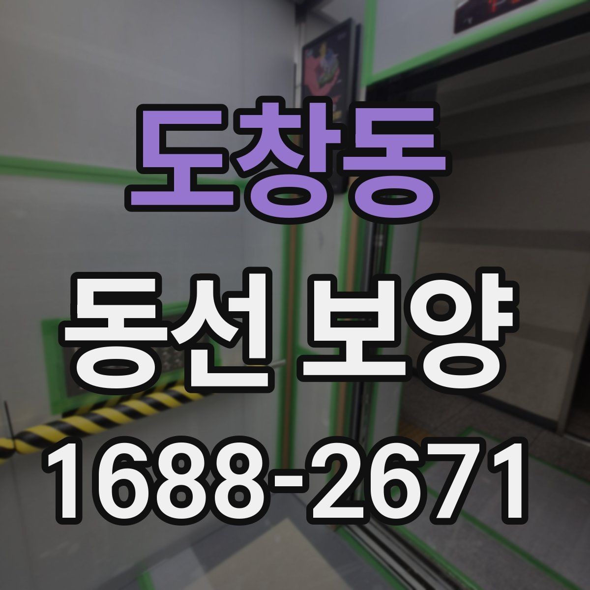도창동 동선 보양 업체를 볼 때 확인할 기준