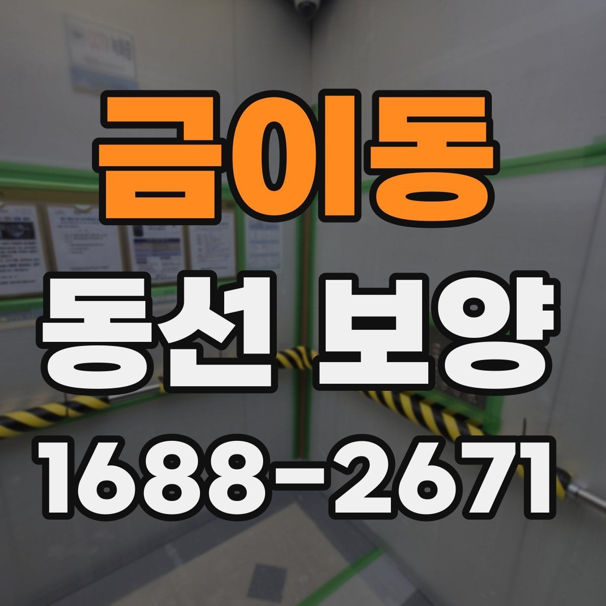 금이동 동선 보양 현장별 적용 사례와 특징