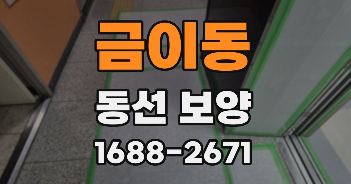금이동 동선 보양