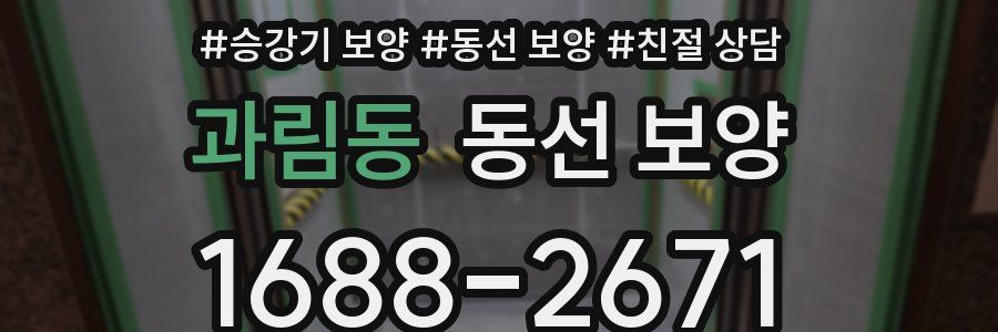 과림동 동선 보양