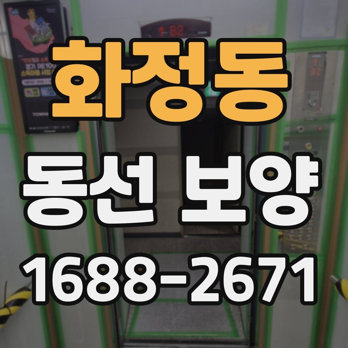 화정동 동선 보양 후 안전 관리까지 챙겨야 하는 이유