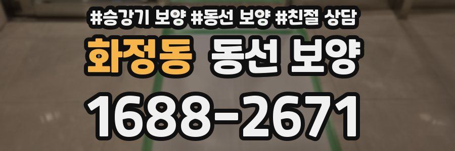 화정동 동선 보양