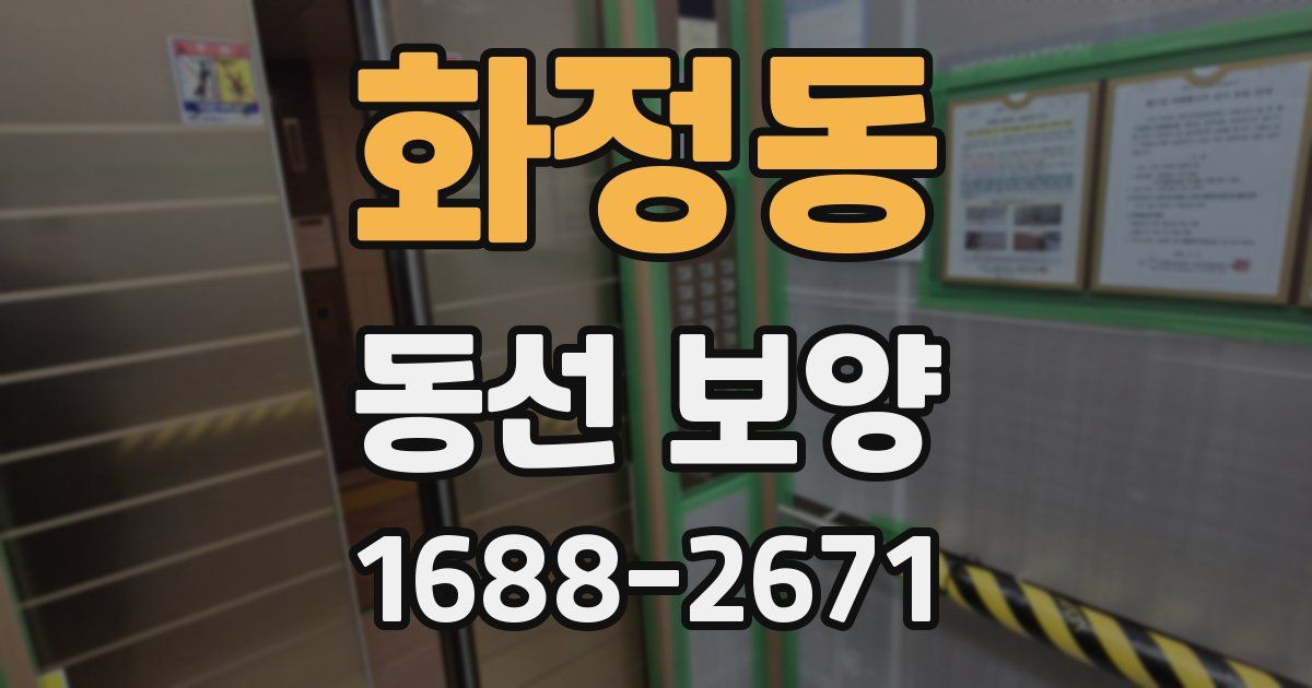 화정동 동선 보양