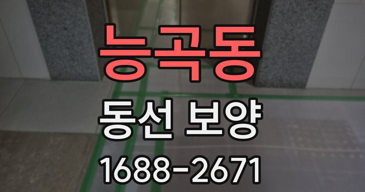 능곡동 동선 보양
