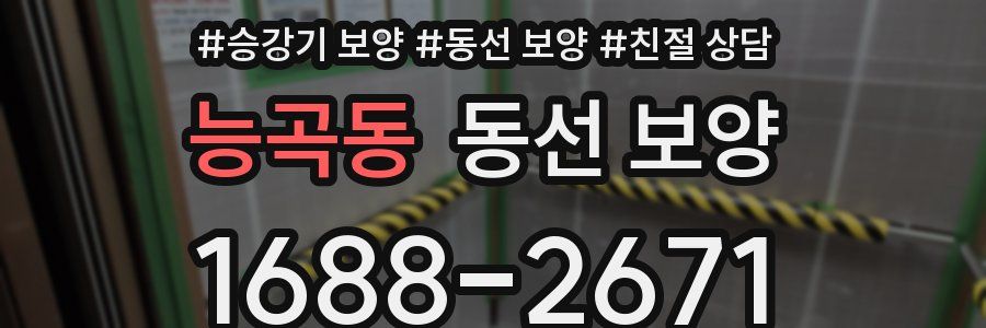능곡동 동선 보양
