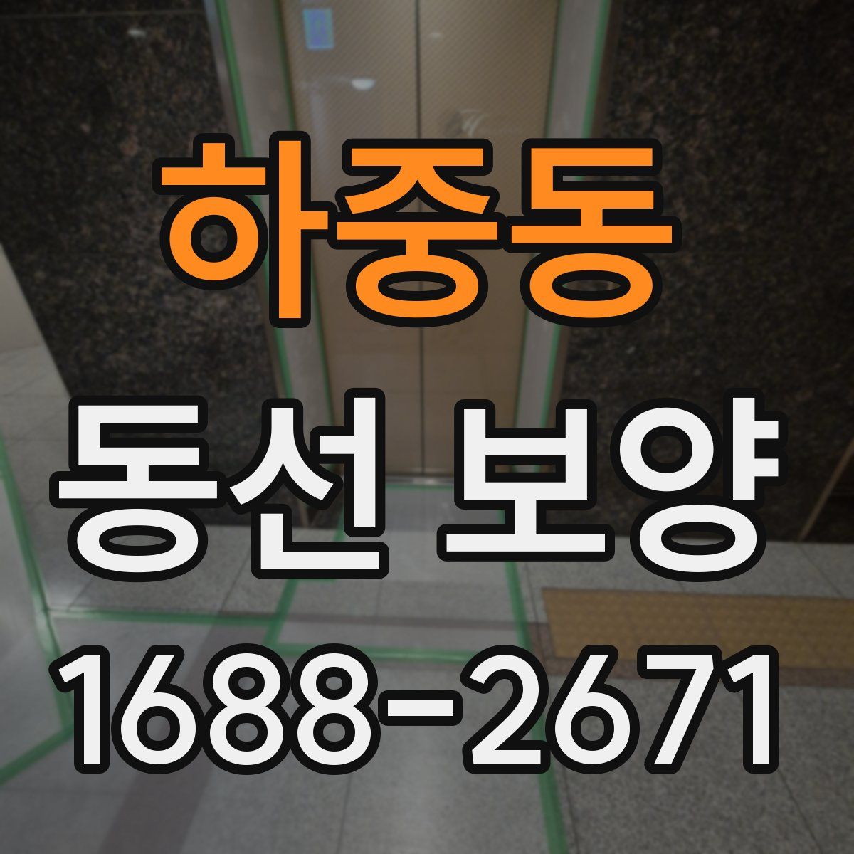 하중동 동선 보양
