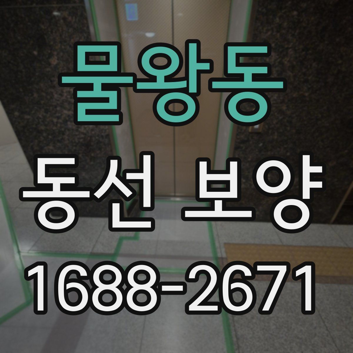 물왕동 동선 보양 품질을 높이는 현장 준비