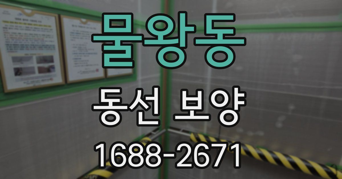 물왕동 동선 보양
