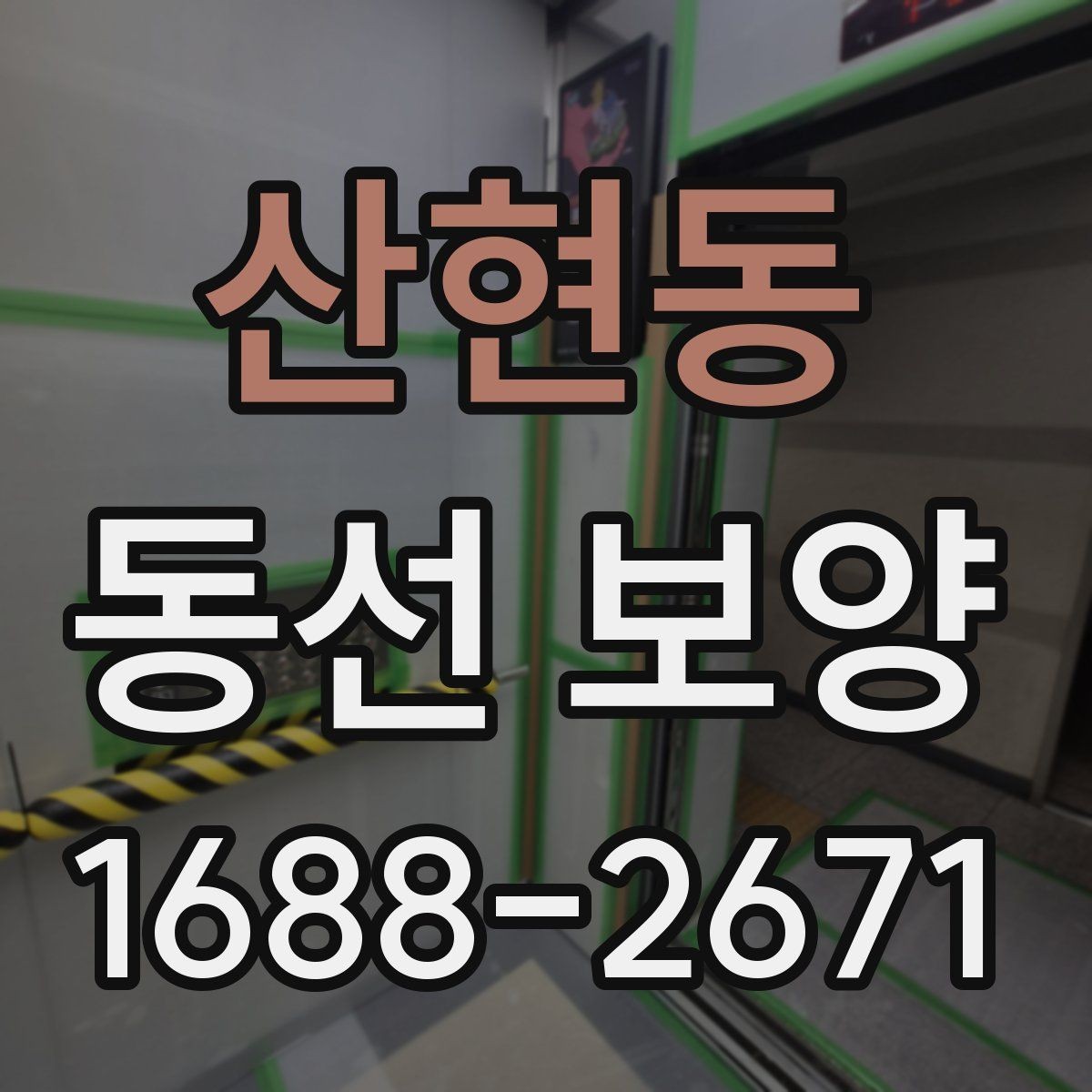 산현동 동선 보양 작업의 완성도를 높이는 관리법