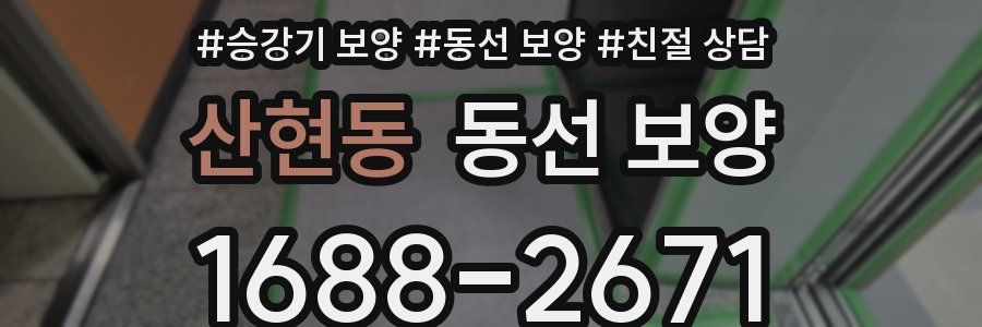 산현동 동선 보양