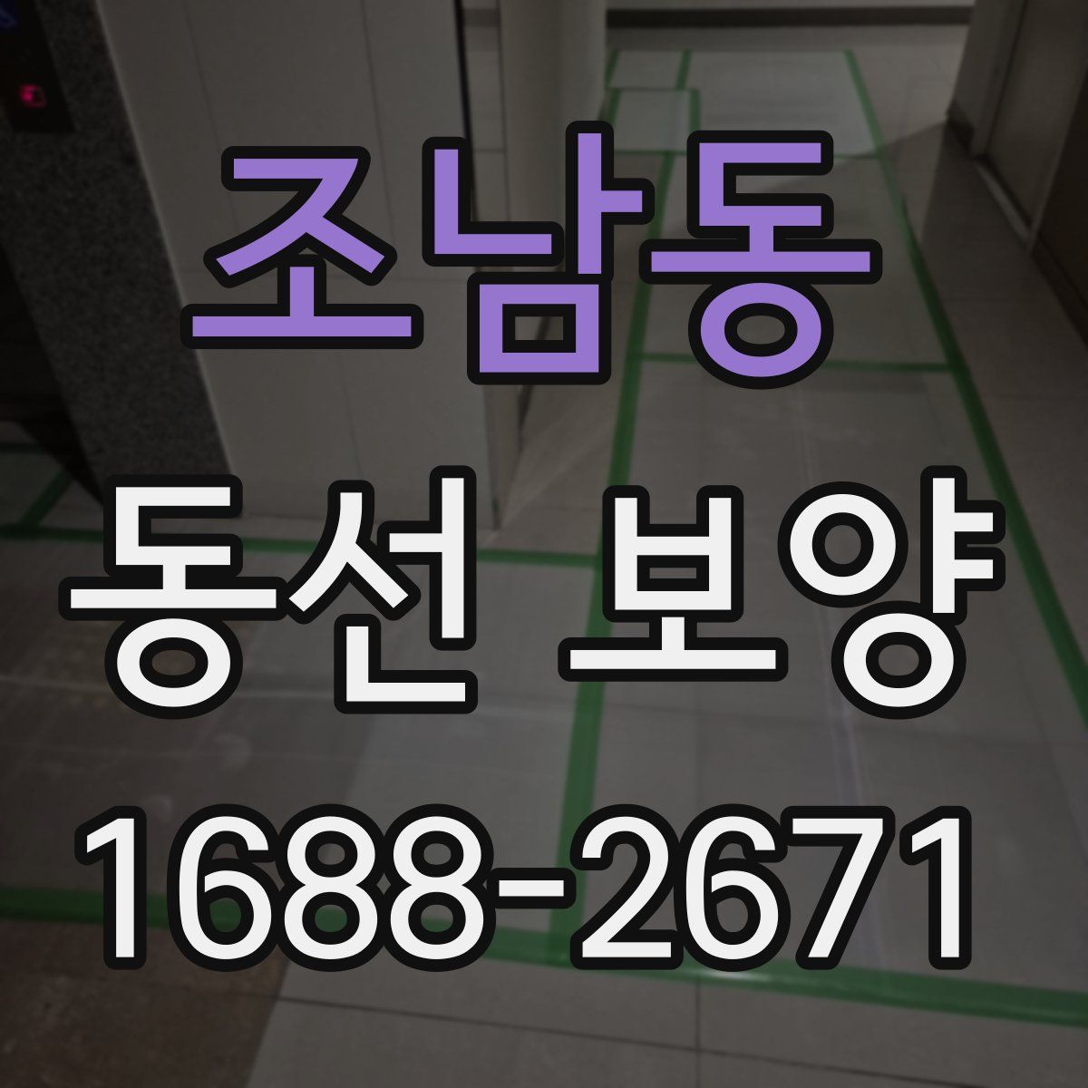 조남동 동선 보양