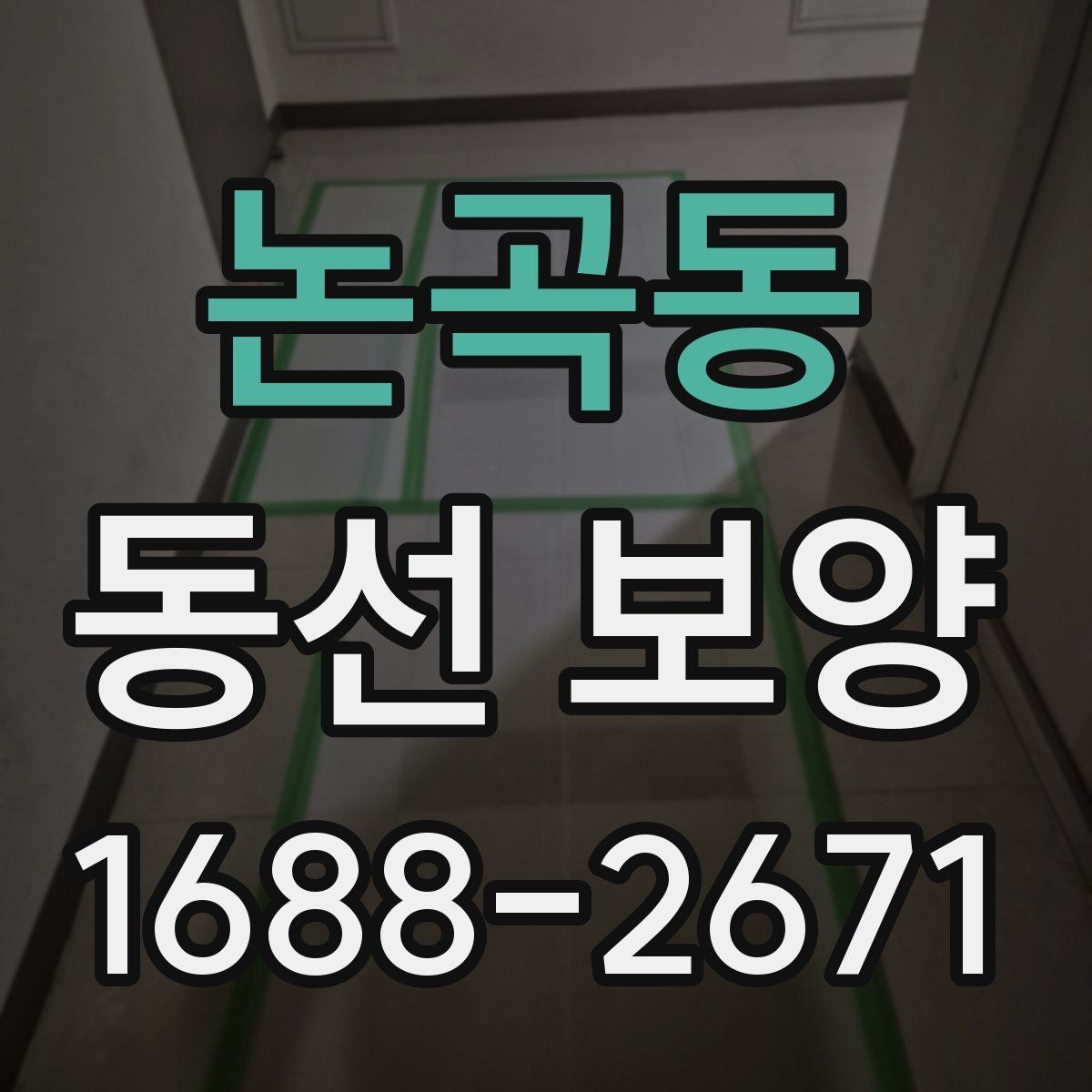논곡동 동선 보양 비교 시 살펴봐야 할 차이점