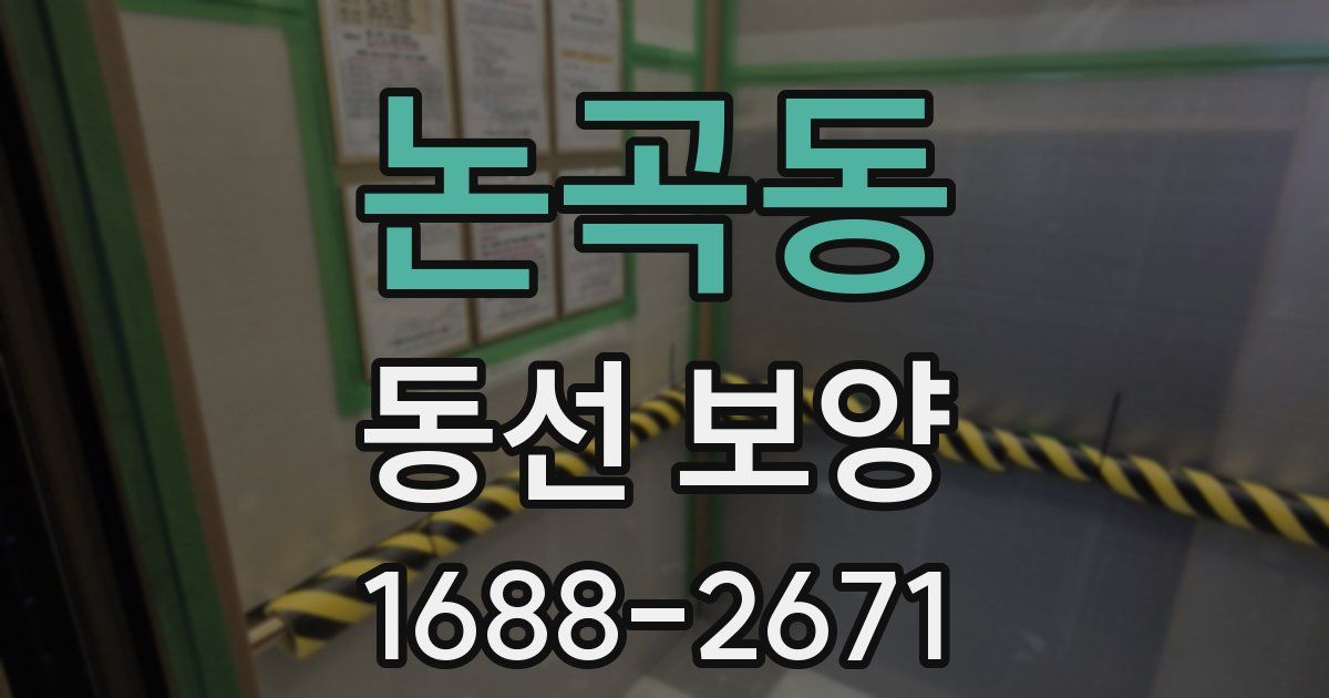논곡동 동선 보양