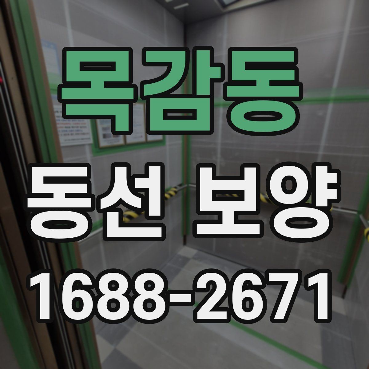 목감동 동선 보양 비용과 범위는 어떻게 달라질까