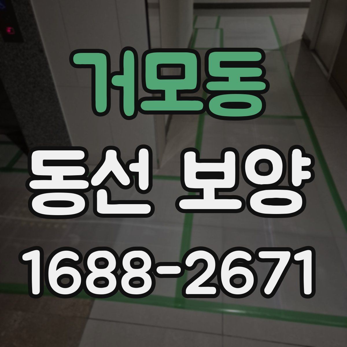 거모동 동선 보양 현장 사진으로 보는 작업 단계