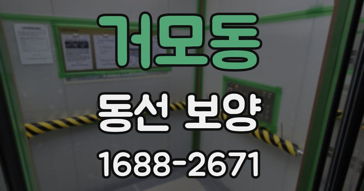 거모동 동선 보양