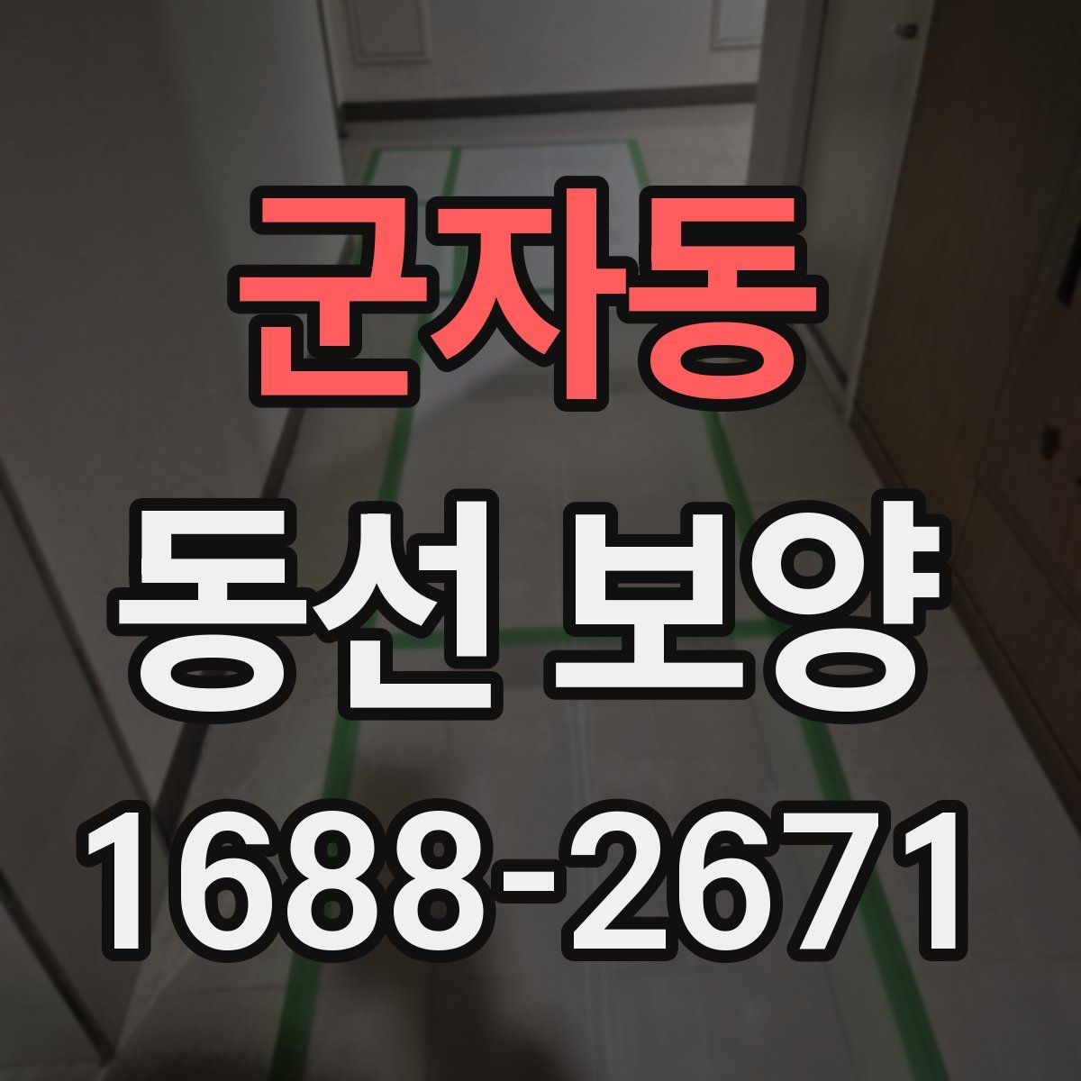 군자동 동선 보양