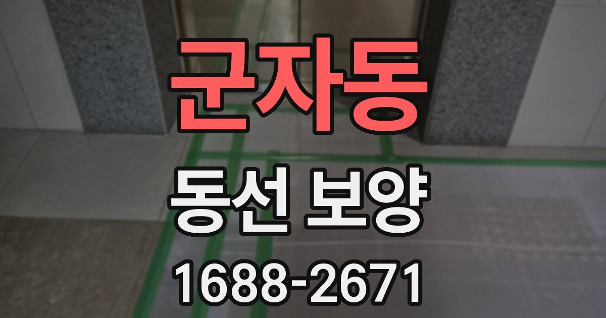 군자동 동선 보양