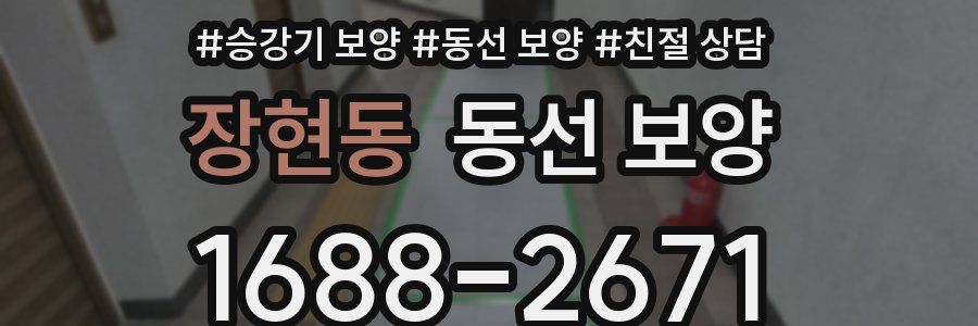 장현동 동선 보양