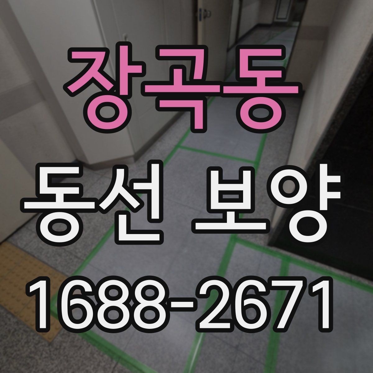 장곡동 동선 보양 공정에서 누락하기 쉬운 단계