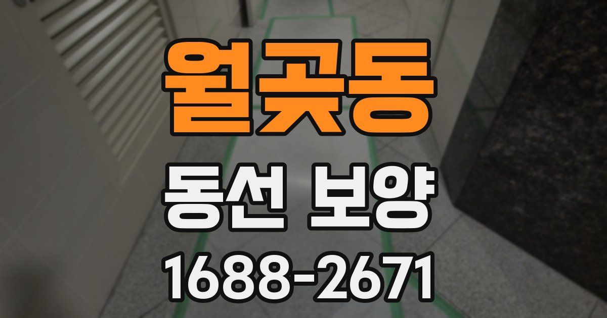 월곶동 동선 보양