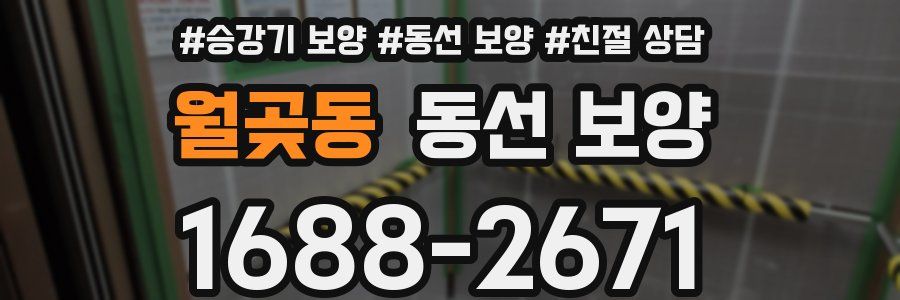 월곶동 동선 보양