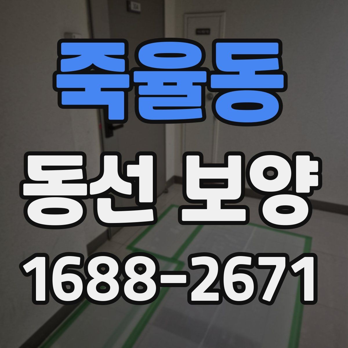 죽율동 동선 보양 비교 시 살펴봐야 할 차이점