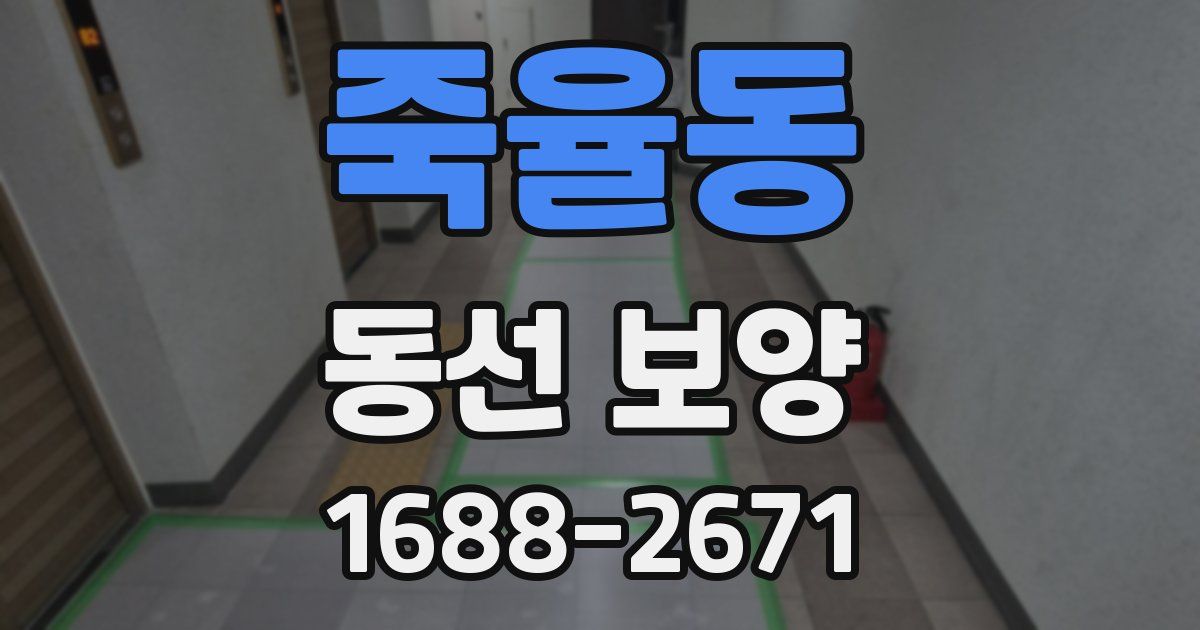 죽율동 동선 보양