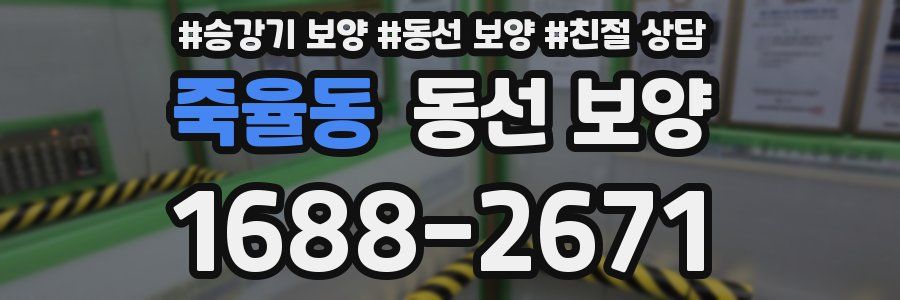 죽율동 동선 보양