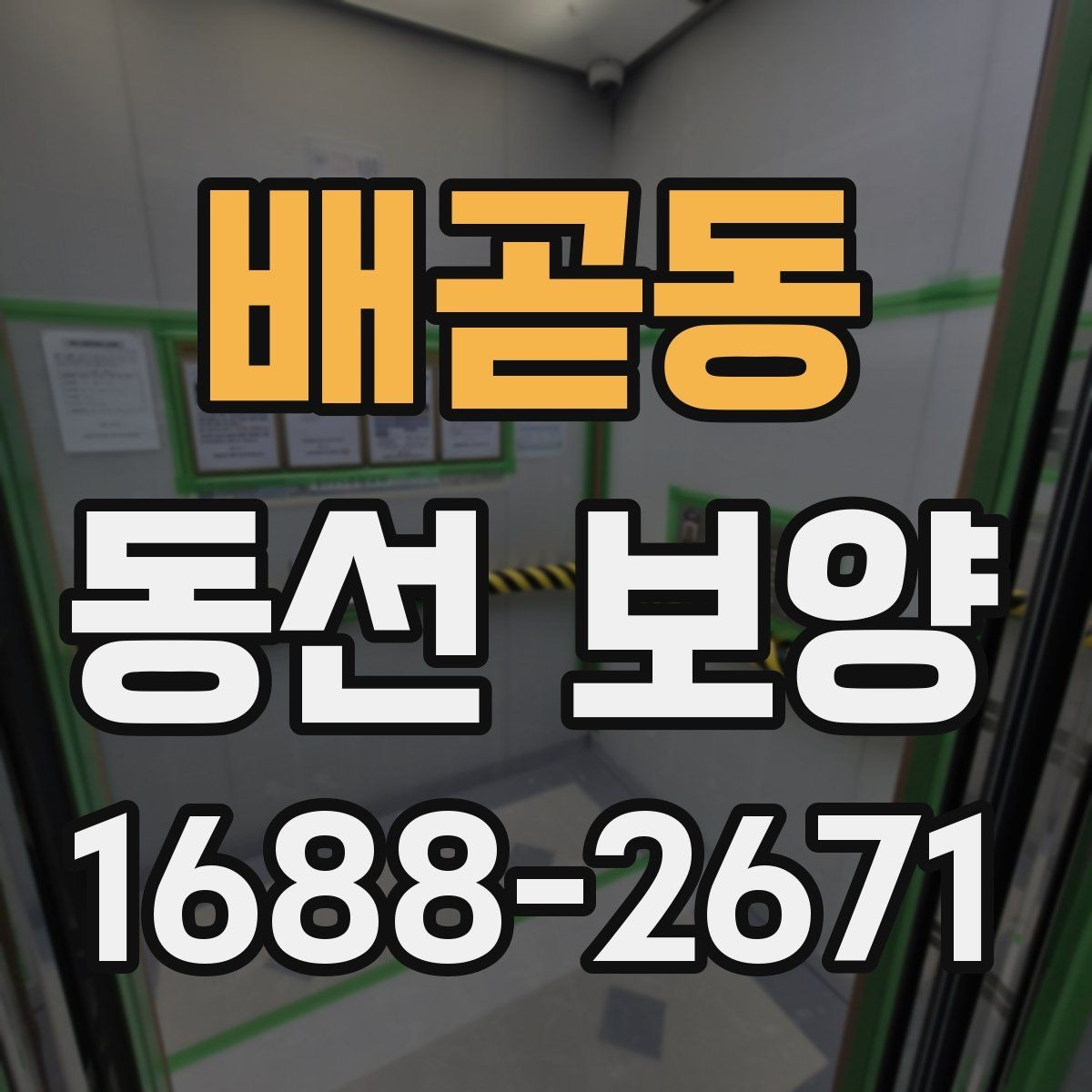 배곧동 동선 보양 적용 범위를 정하는 실무 기준