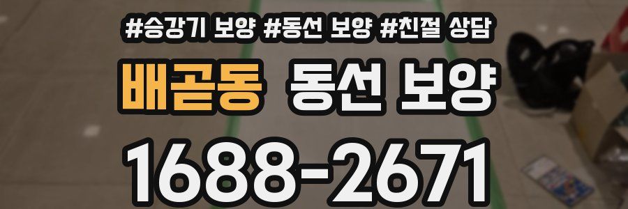 배곧동 동선 보양