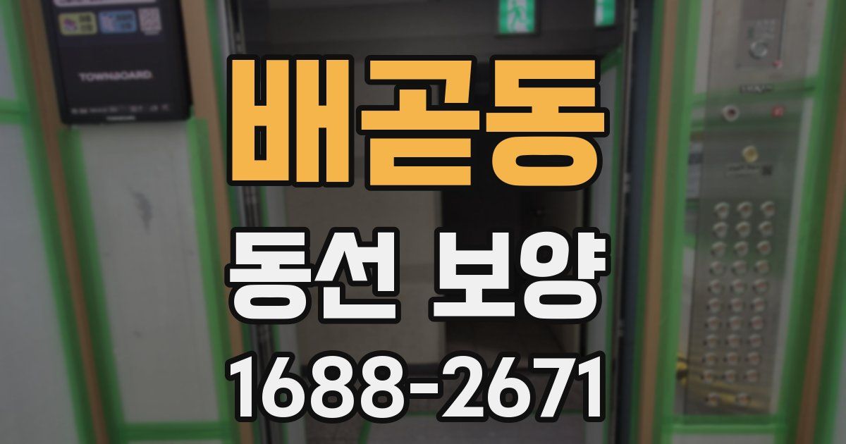 배곧동 동선 보양