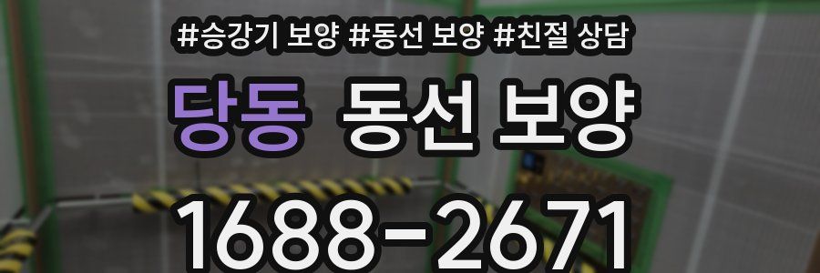 당동 동선 보양