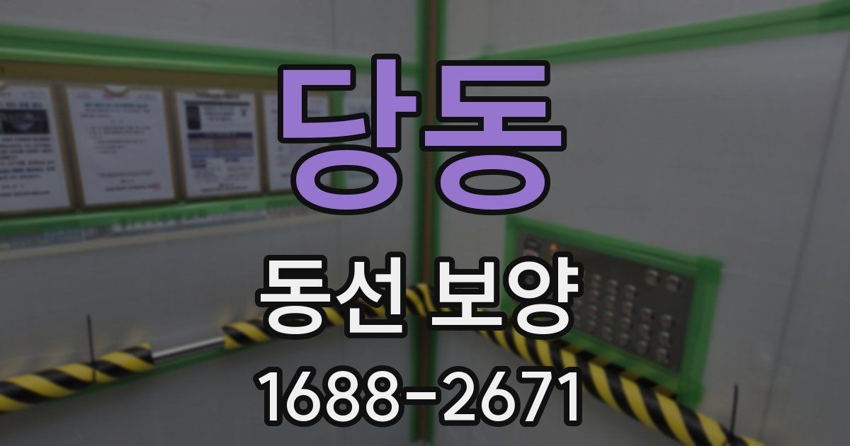당동 동선 보양
