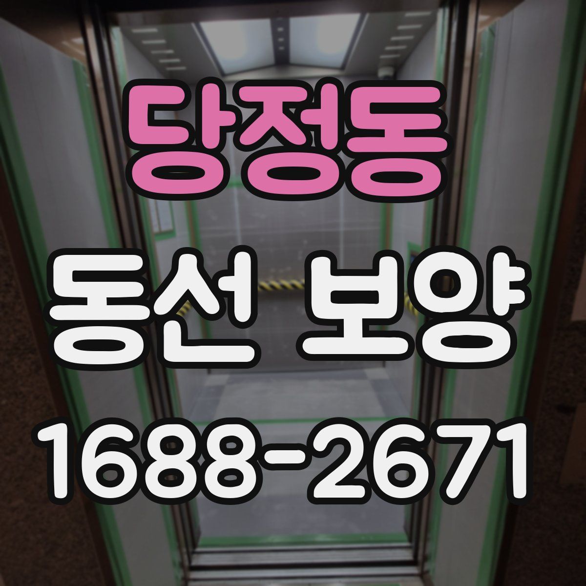당정동 동선 보양