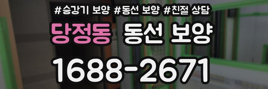당정동 동선 보양