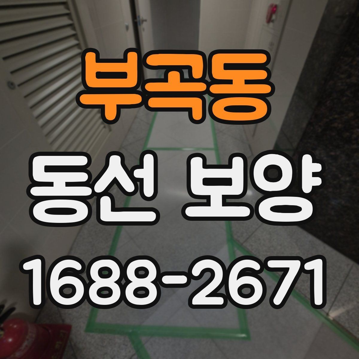 부곡동 동선 보양 작업 후 유지 관리 팁