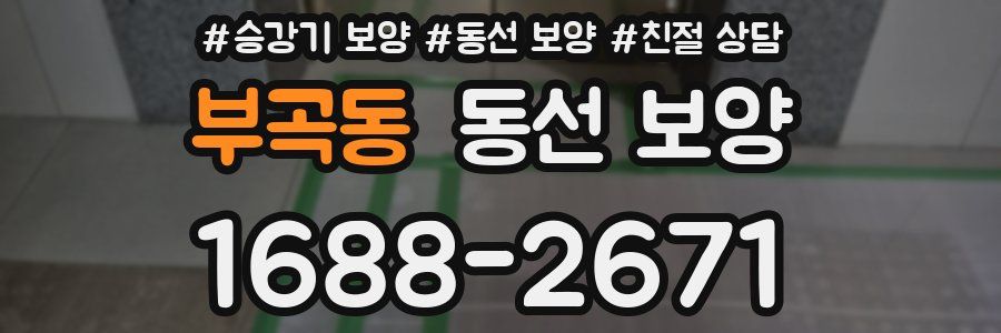 부곡동 동선 보양